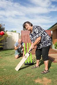 Image result for Backyard Cricket Someone Playing