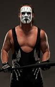 Image result for Sting Wrestler Movies and TV Shows