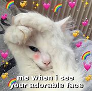 Image result for Cat Love Meme Template