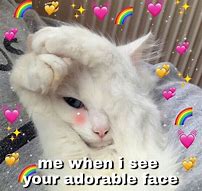 Image result for Love You Bunches Meme Cat