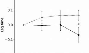 Image result for Gray Line HF Antenna