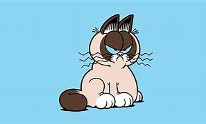 Image result for Grumpy Cat Movie