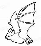 Image result for Flying Bat Sketch
