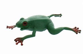 Image result for Imperial Rubber Frog