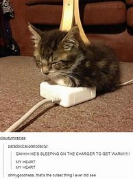 Image result for Laptop Charger Meme