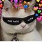 Image result for Cute Heart Memes