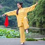 Image result for Tai Chi Poses Korean Expert