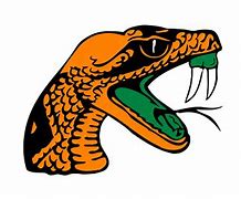 Image result for Florida A&M Rattlers Football