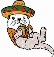 Image result for Mexican Otter