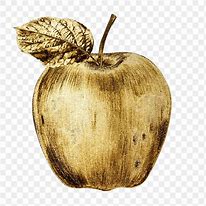 Image result for Apple Fruit Sticker