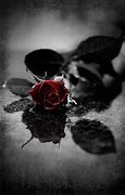 Image result for Gothic Rose HD Wallpaper