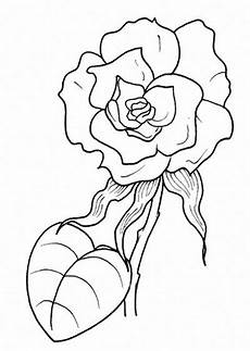 fiori da disegnare l usignolo disegni fiori da colorare fiori da disegnare l usignolo disegni fiori da colorare