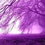 Image result for Purple Aesthetic Tree