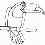 Image result for Toucan Bird Drawing