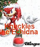 Image result for Knuckles OH No