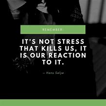 Image result for Quotes About Being Stress-Free