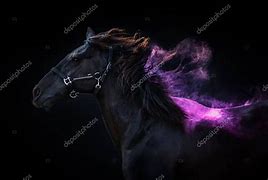 Image result for Brown Andalusian Horse