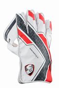 Image result for Cricket Wicket keeper Gloves