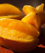 Image result for Carambola Seedlings
