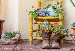 Image result for Laura Eubanks Succulents