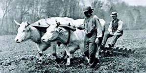 Image result for Farming 1800s