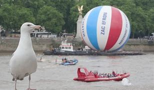 Image result for Largest Beach Ball