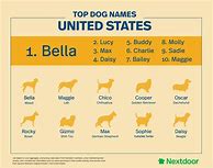 Image result for Most Popular Dog Names