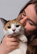 Image result for Cat Hugs Meme