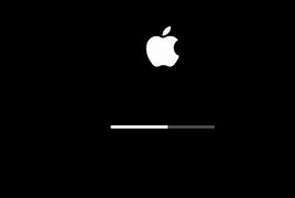 Image result for Mac Loading Screen