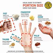 Image result for Portion-Size Fist