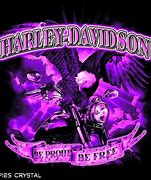 Image result for Harley-Davidson Flags 3X5 Outdoor