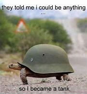 Image result for Safety Turtle Meme