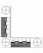Image result for Photographic Ruler Abfo Scales