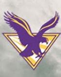 Image result for Official Eagles Logo