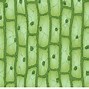 Image result for One Plant Cell Microscope