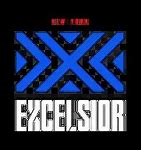 Image result for New York Excelsior Logo