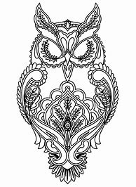 Image result for Owl Adult Coloring Page