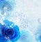 Image result for Blue Ai Rose Image Wallpaper