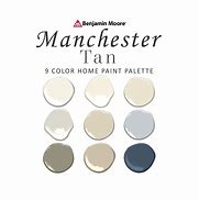 Image result for Tan Paint Samples
