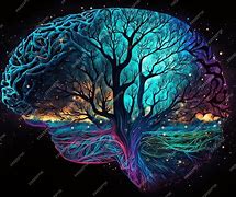 Image result for Pattern of Universe vs Neurons in Brain