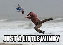 Image result for Funny Windy Day Memes