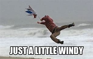 Image result for Windy Meme