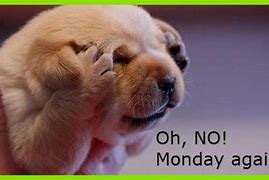 Image result for OH No Monday Facebook Covers