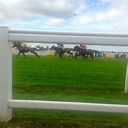 Image result for Ascot Horse Racing