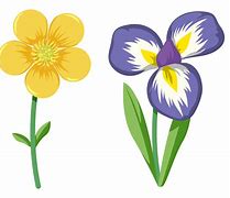 Image result for Flower Vector Illustration