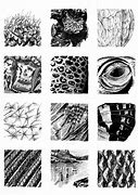 Image result for Drawing That Shows Texture