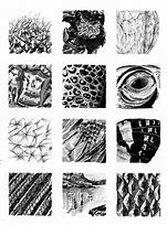 Image result for Texture Art Drawing