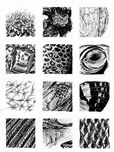 Image result for Art Element Texture Drawing
