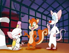Image result for Pinky and the Brain Human