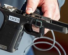 Image result for Smart Gun Rig